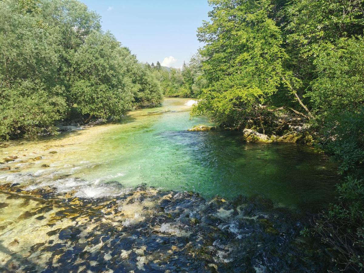 Apartma Neva Lejlighed Bohinj Eksteriør billede