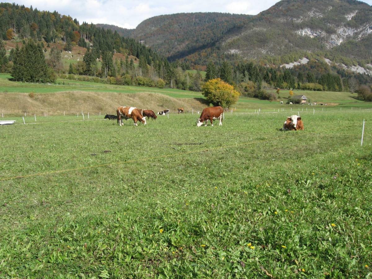 Apartma Neva Lejlighed Bohinj Eksteriør billede